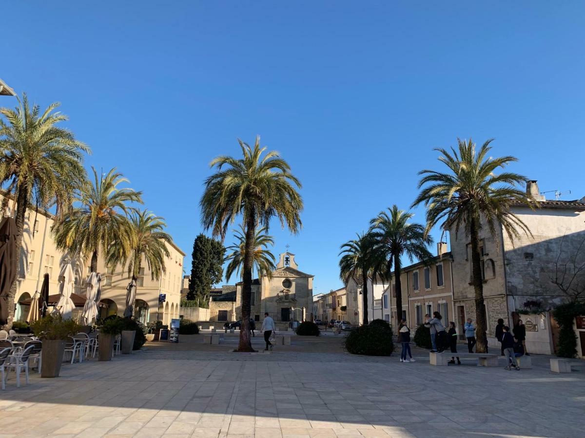 Lou Mireio Apartment Aigues-Mortes Luaran gambar
